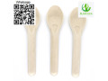 cutlery-disposable-cutlery-bagasse-cutlery-bagasse-spoon-small-2