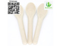 cutlery-disposable-cutlery-bagasse-cutlery-bagasse-spoon-small-4