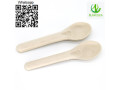 cutlery-disposable-cutlery-bagasse-cutlery-bagasse-spoon-small-1