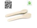 cutlery-disposable-cutlery-bagasse-cutlery-bagasse-spoon-small-0