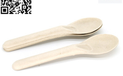 Cutlery disposable cutlery bagasse cutlery bagasse spoon