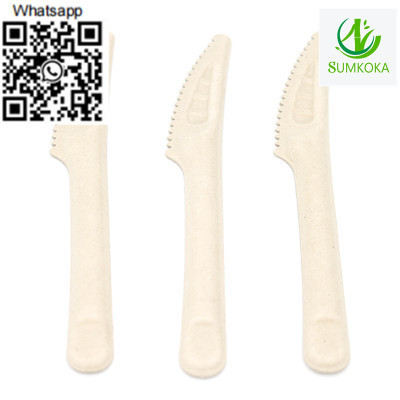 cutlery-disposable-cutlery-sugarcane-cutlery-sugarcane-knife-big-0
