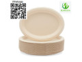 plate-dinner-plate-disposable-plate-sugarcane-plate-small-2