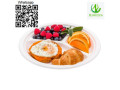 plate-dinner-plate-disposable-plate-sugarcane-plate-small-4