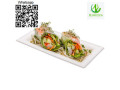 plate-dinner-plate-disposable-plate-sugarcane-plate-small-3