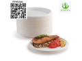 plate-dinner-plate-disposable-plate-sugarcane-plate-small-0