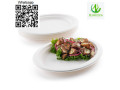 plate-dinner-plate-disposable-plate-sugarcane-plate-small-1