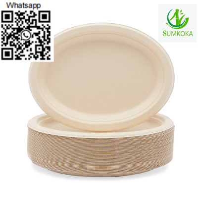 plate-dinner-plate-disposable-plate-sugarcane-plate-big-2