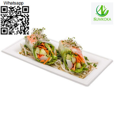 plate-dinner-plate-disposable-plate-sugarcane-plate-big-3