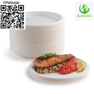 plate-dinner-plate-disposable-plate-sugarcane-plate-big-0