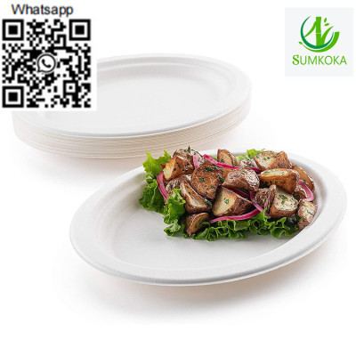 plate-dinner-plate-disposable-plate-sugarcane-plate-big-1