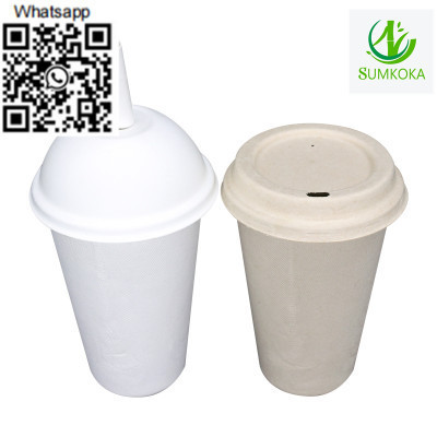 cup-disposable-cup-bagasse-cup-coffee-cup-big-2