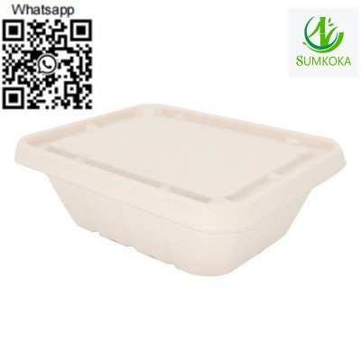 tray-disposable-tray-sugarcane-tray-meat-tray-big-3