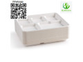 tray-disposable-tray-bagasse-tray-serving-tray-small-1