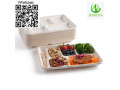 tray-disposable-tray-bagasse-tray-serving-tray-small-4