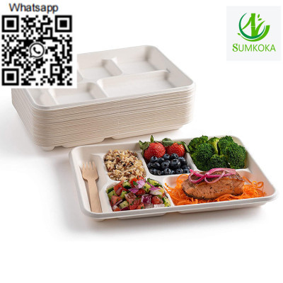 tray-disposable-tray-bagasse-tray-serving-tray-big-4