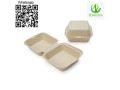clamshell-box-disposable-clamshell-box-sugarcane-clamshell-box-small-0
