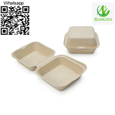 clamshell-box-disposable-clamshell-box-sugarcane-clamshell-box-big-0