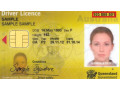 drivers-li-id-card-passport-available-small-1