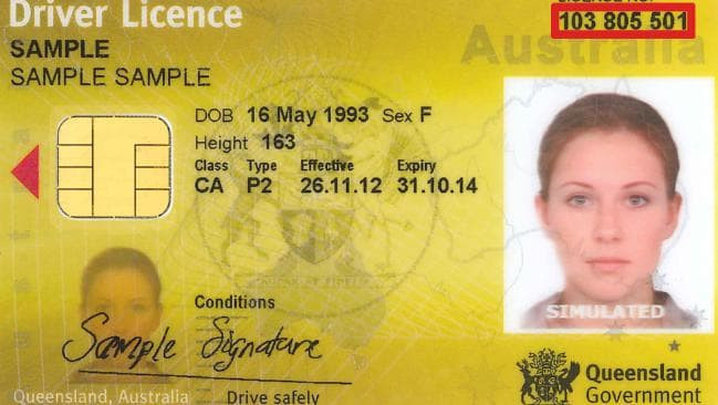 drivers-li-id-card-passport-available-big-1