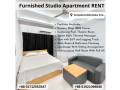 1-bed-bedroom-furnished-apartment-rent-small-0