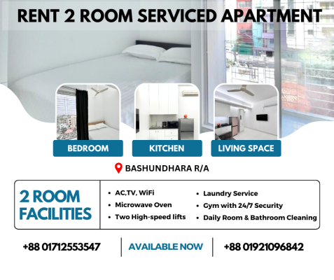 luxurious-two-room-studio-apartments-for-rent-in-bashundhara-ra-big-0