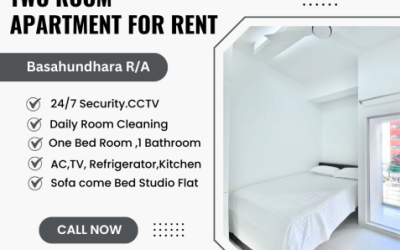 Furnished Excellent Two Room Apartments For Rent In Bashundhara R/A