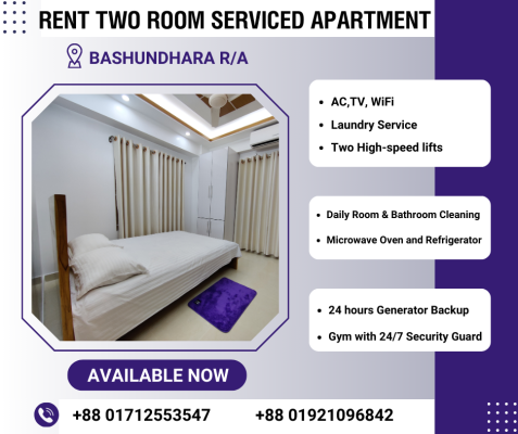 furnished-stylish-2room-flats-for-rent-in-bashundhara-ra-big-0