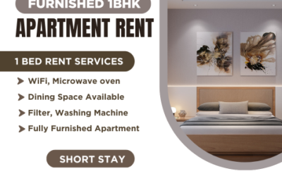 Rent Furnished One Bedroom Apartments In Bashundhara R/A
