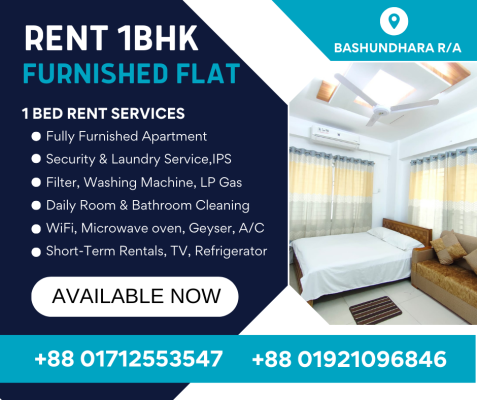 rent-furnished-1-bedroom-apartment-in-bashundhara-ra-big-0