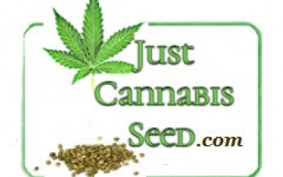Free Marijuana Seeds JustCannabisSeed-com