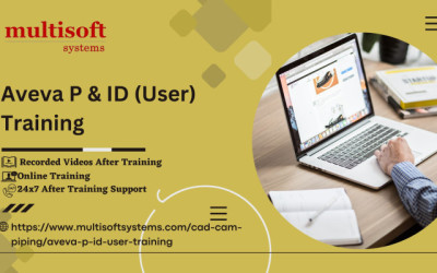 Aveva P & ID (User) Online Training Certification Course