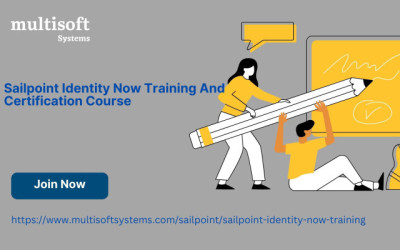Sailpoint Identity Now Training And Certification Course