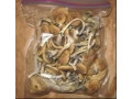 buy-psychedelics-online-small-0