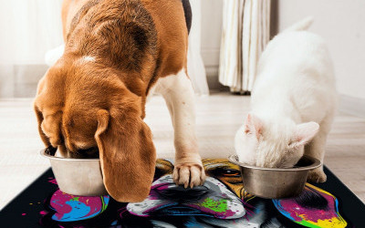 Cool Dog Pet Food Mat