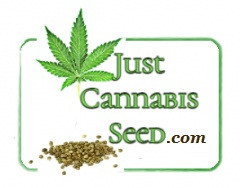 win-free-pot-seeds-justcannabisseed-com-big-0