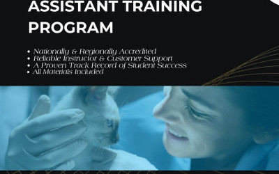 Launch Your Career as a Veterinary Assistant with Our Online Training Program