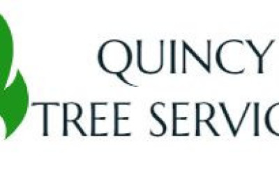 Quincy Tree Services