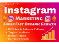 i-will-do-superfast-organic-instagram-growth-followers-and-engagement-small-1