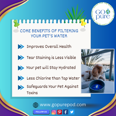 core-benefits-of-filtering-your-pets-water-big-0