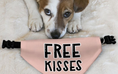 Free Kisses Pet Bandana Collar