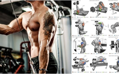 12 Finest Triceps workout at home with dumbbells