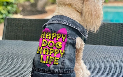 Happy Dog Happy Life Dog Denim Vest