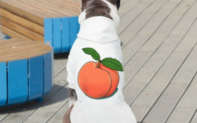 Peach Dog Hoodie