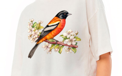 Baltimore Oriole Womens Crop Tee Shirt